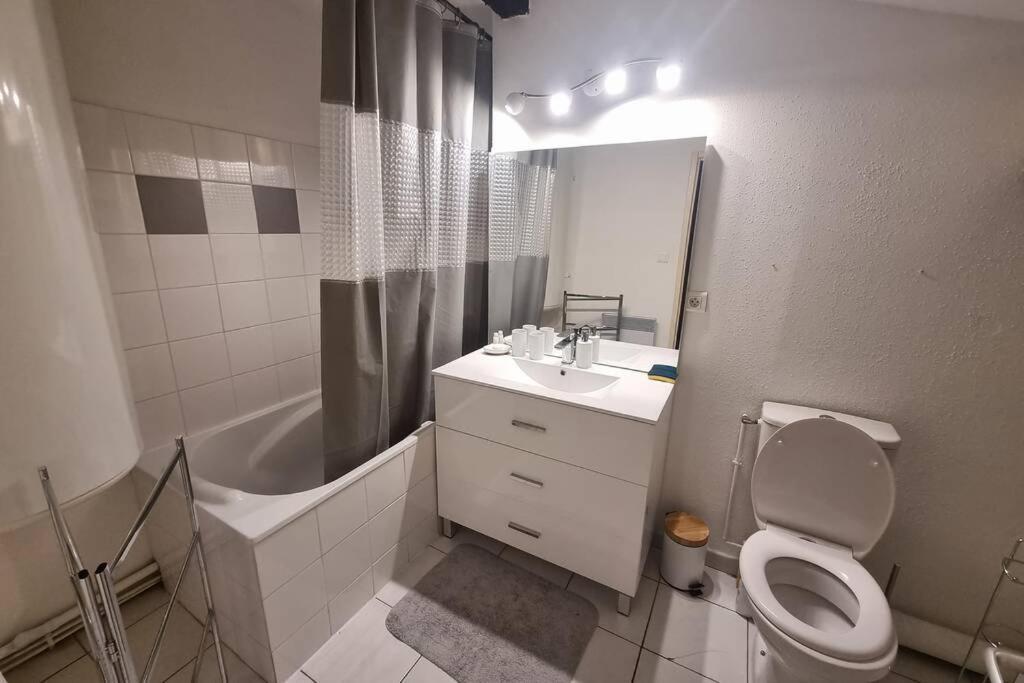 Appartement Exceptionnel 4 Etoiles Hyper Centre Albi 65 M2 Au 4Eme Etage Sans Ascenseur Avec Une Tour Du 12Eme Siecle Luaran gambar